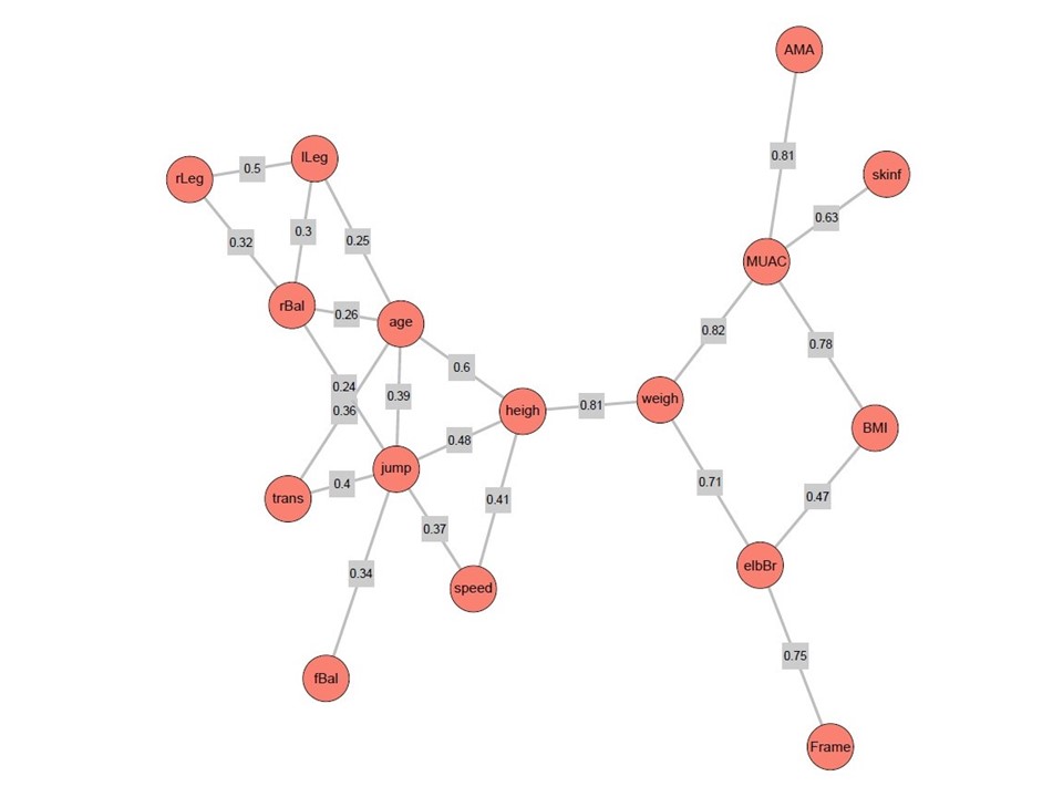 Network of association chains with two clusters of variables which are connected via weight and height. The cluster of anthropometric variables relates to  weight, whereas age and the motor skills relate to height.