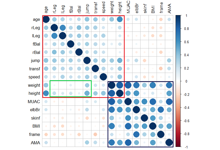 The correlation matrix highlights the link between the anthropometric variables and the motor skills via height and weight.